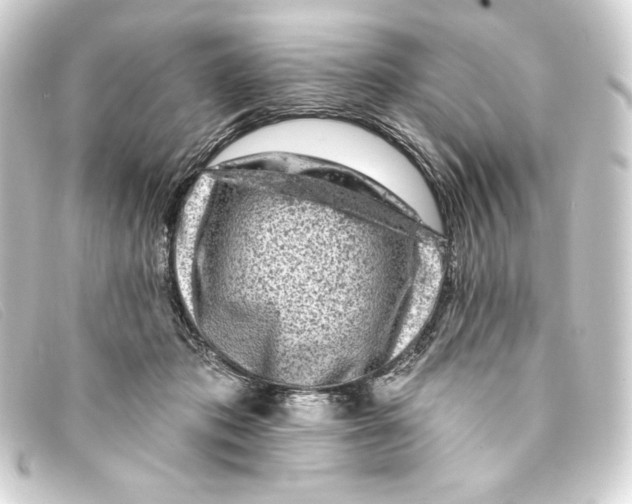 X0000093170413200710241043