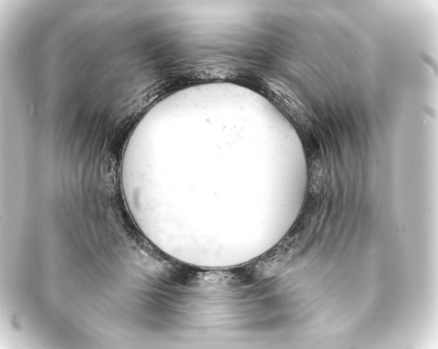 X0000093170414200710241043