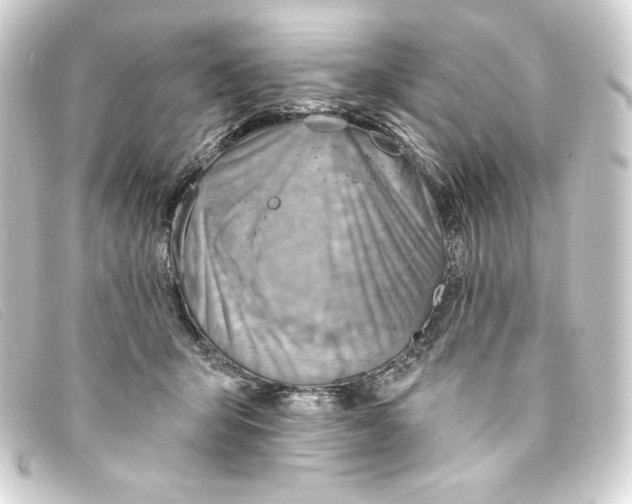 X0000093170415200710241043