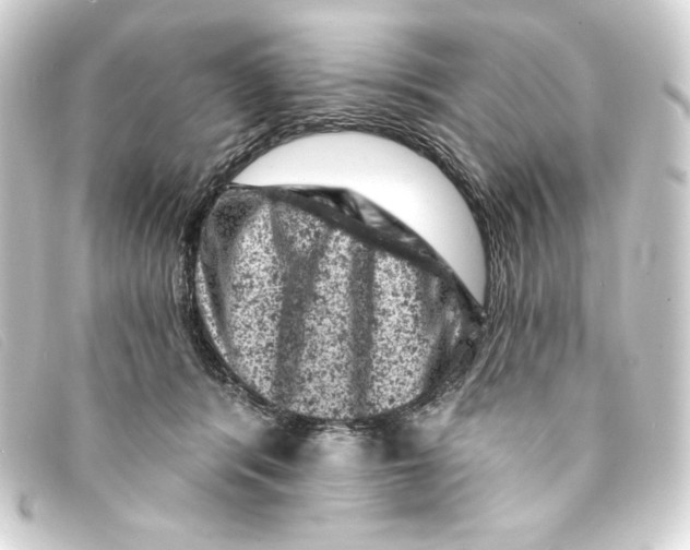 X0000093170416200710241043