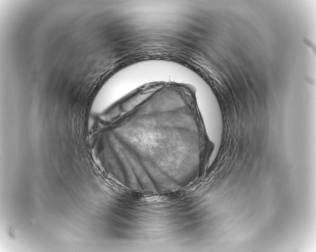 X0000093170417200710241043