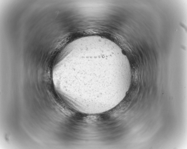 X0000093170418200710241043