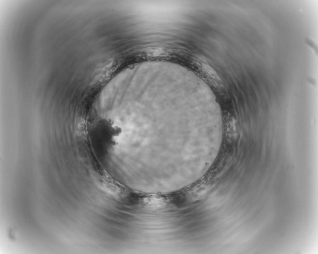 X0000093170419200710241043