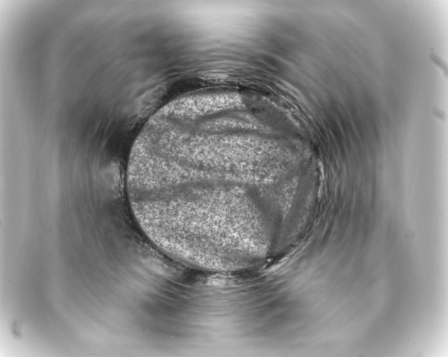 X0000093170420200710241043