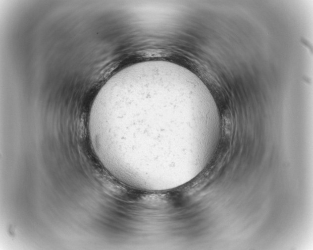 X0000093170422200710241043