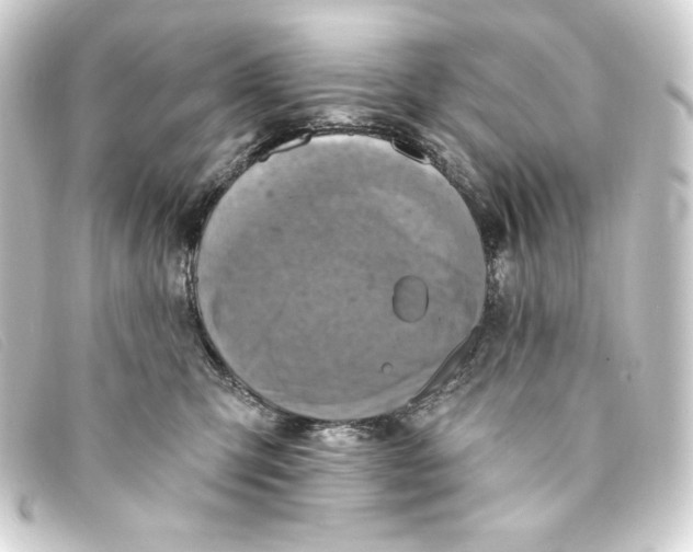 X0000093170423200710241043