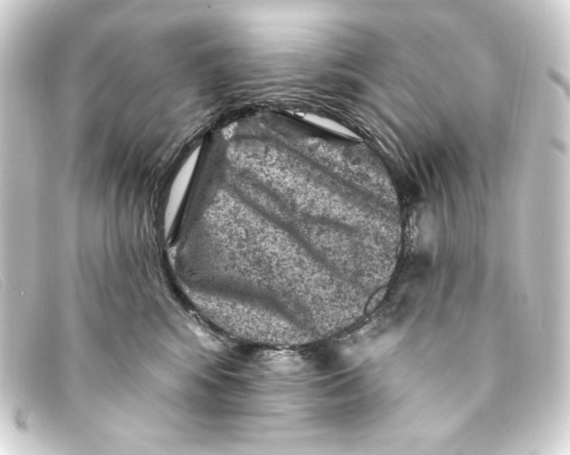 X0000093170424200710241043