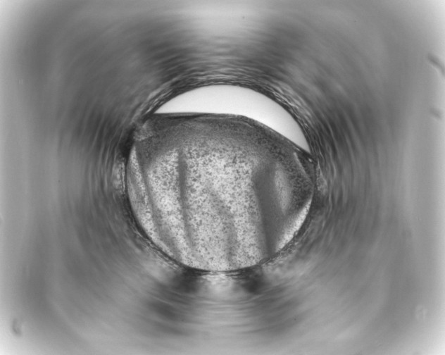 X0000093170425200710241043