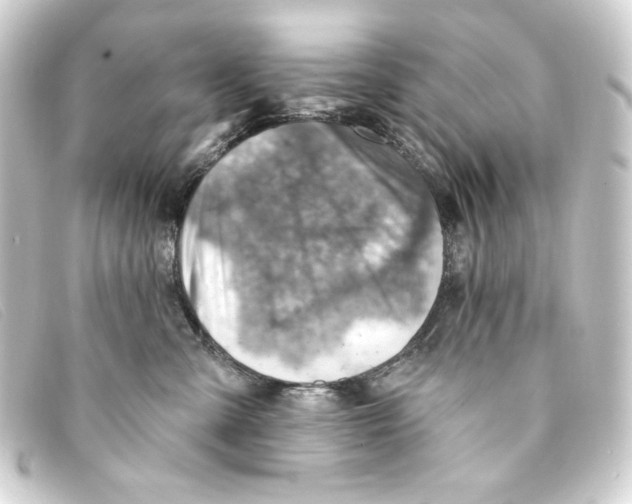 X0000093170427200710241043