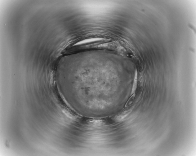 X0000093170428200710241043