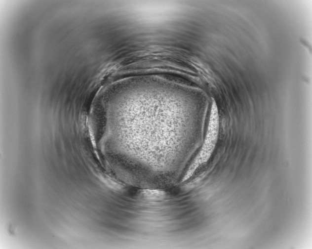 X0000093170429200710241043