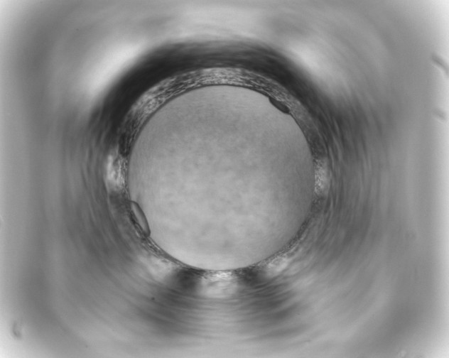 X0000093170431200710241043