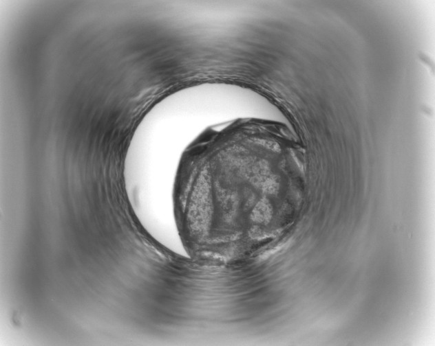 X0000093170432200710241043