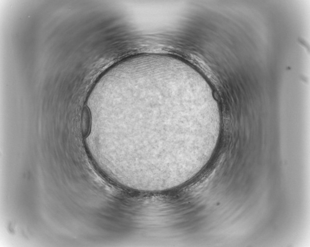 X0000093170433200710241043