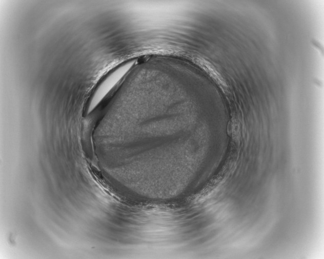 X0000093170434200710241043