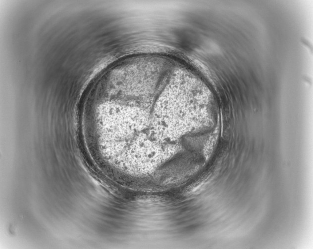 X0000093170435200710241043