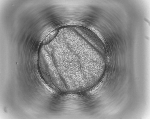 X0000093170437200710241043