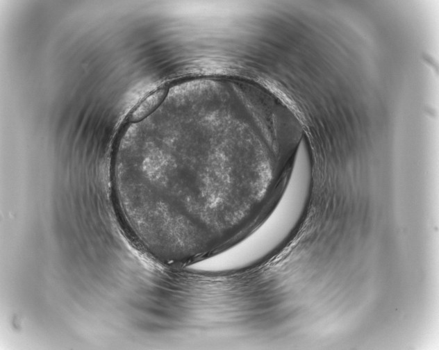 X0000093170438200710241043