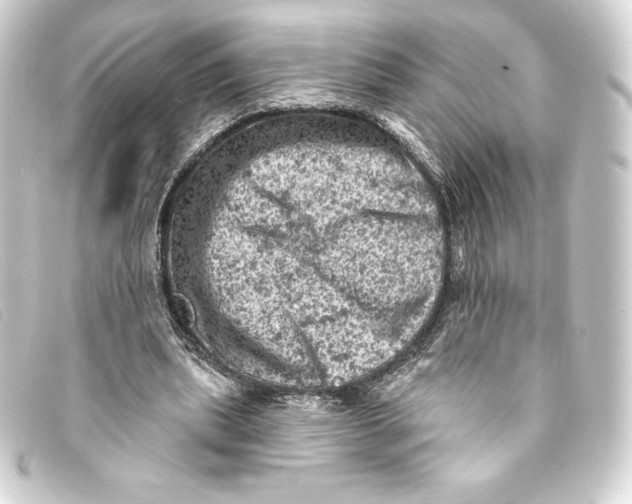 X0000093170439200710241043