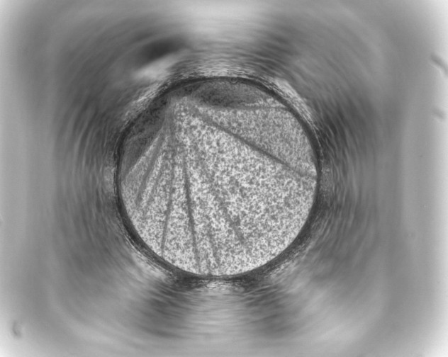 X0000093170441200710241043