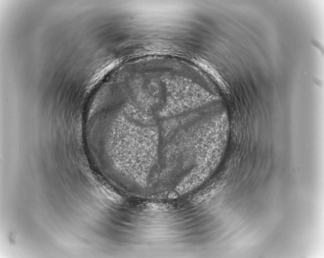 X0000093170442200710241043