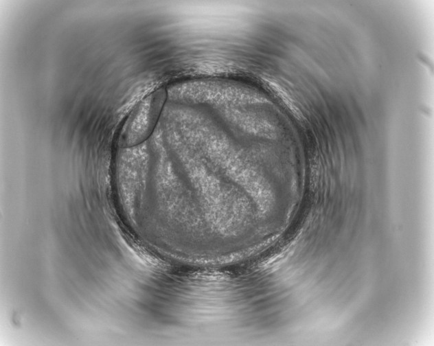 X0000093170443200710241043