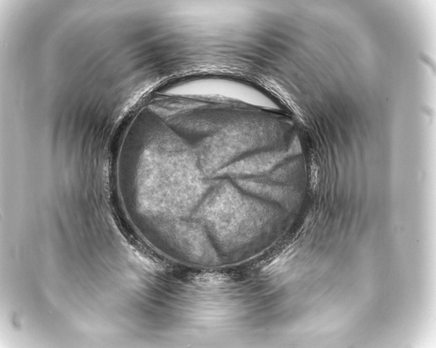 X0000093170444200710241043