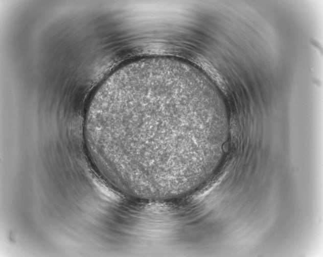 X0000093170445200710241043