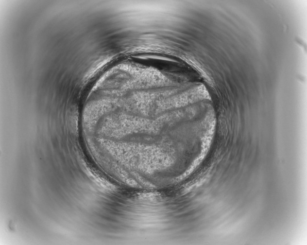 X0000093170446200710241043