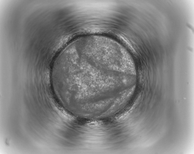 X0000093170447200710241043