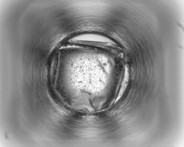 X0000093170448200710241043