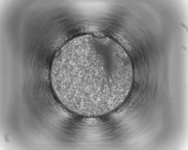 X0000093170449200710241043