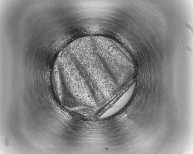 X0000093170450200710241043