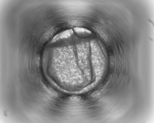 X0000093170451200710241043