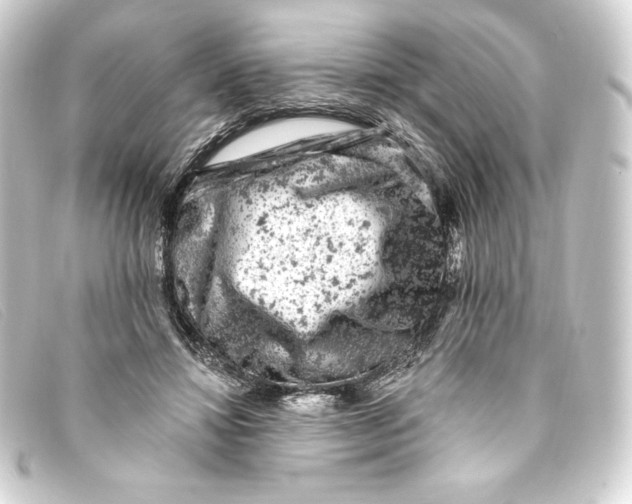 X0000093170452200710241043