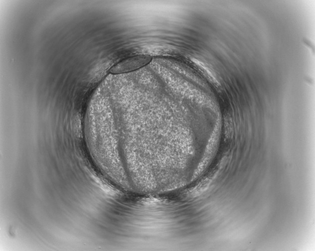 X0000093170453200710241043