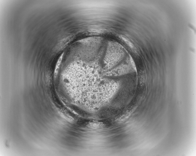 X0000093170455200710241043