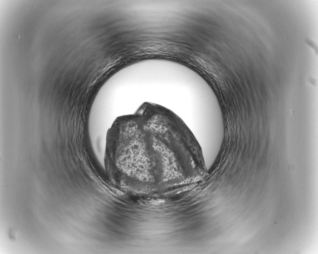 X0000093170456200710241043