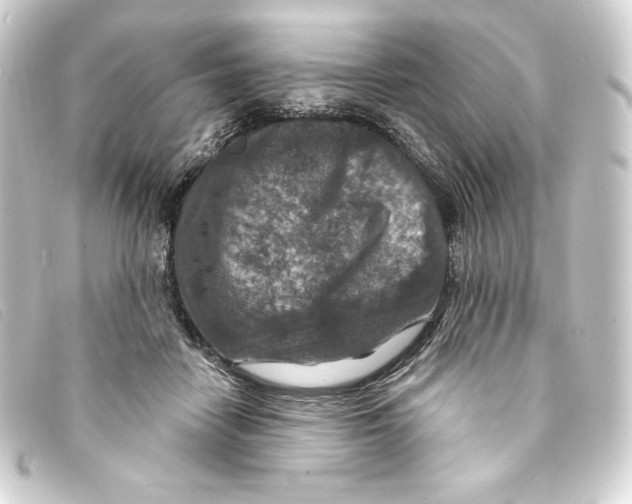 X0000093170458200710241043