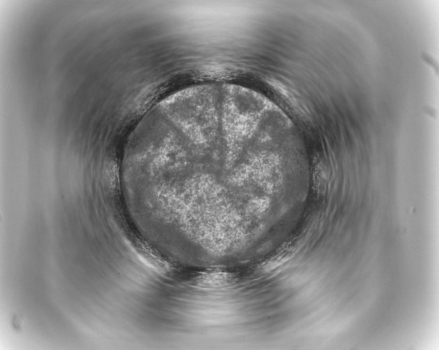 X0000093170459200710241043