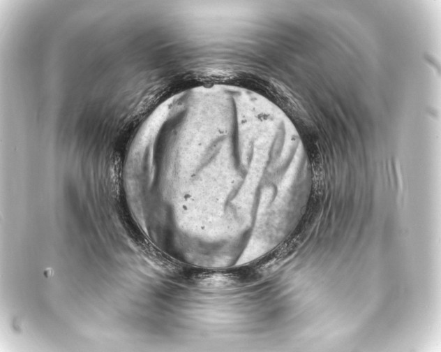 X0000093170460200710241043