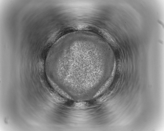 X0000093170461200710241043