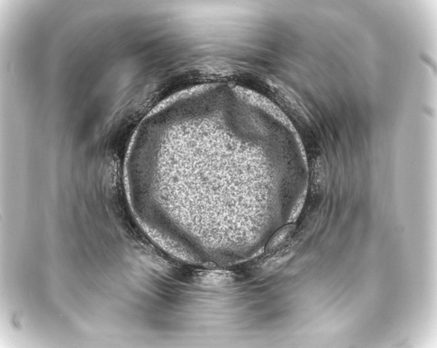 X0000093170463200710241043