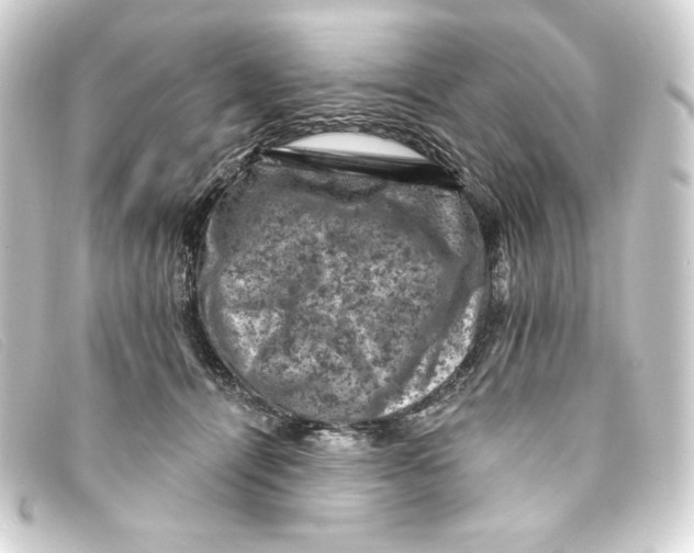 X0000093170464200710241043