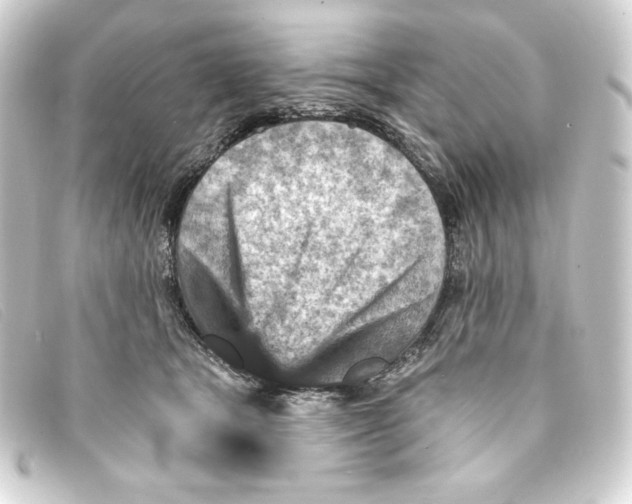 X0000093170465200710241043