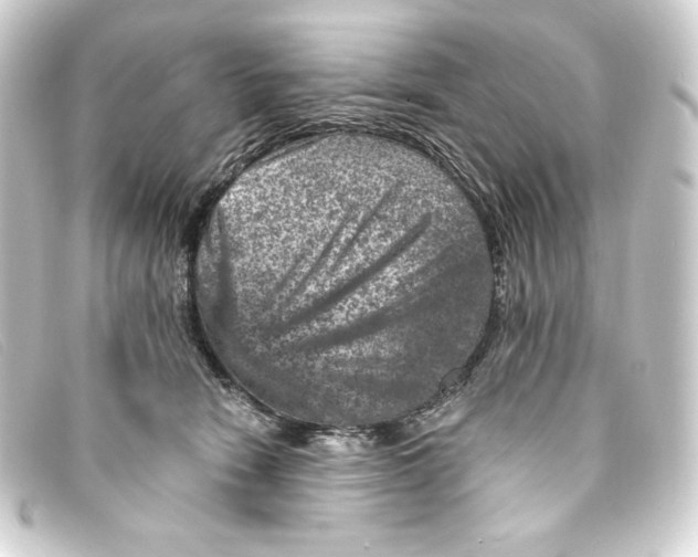 X0000093170466200710241043