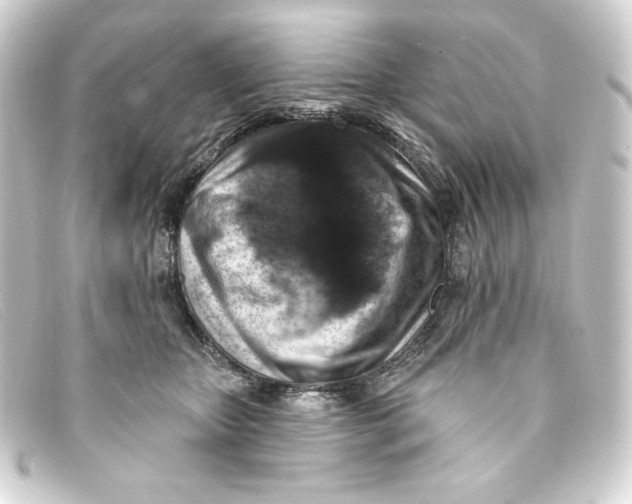 X0000093170467200710241043