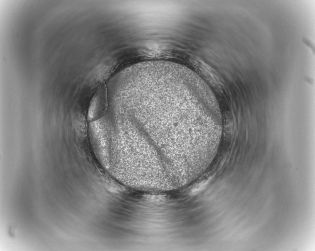 X0000093170469200710241043