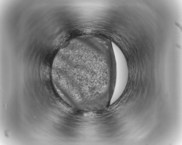 X0000093170470200710241043