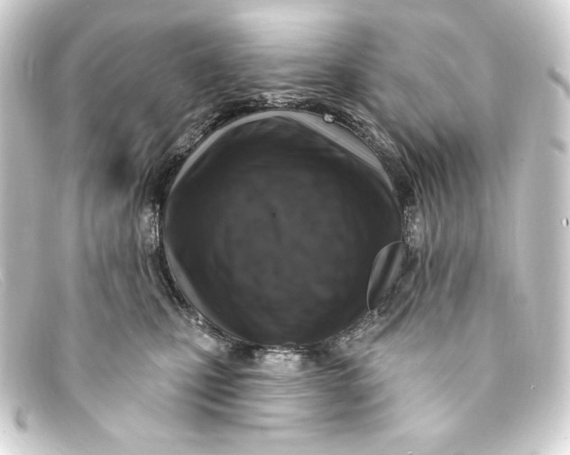 X0000093170471200710241043